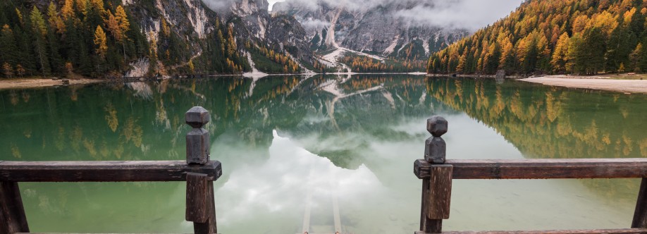 Seminars Cover Image